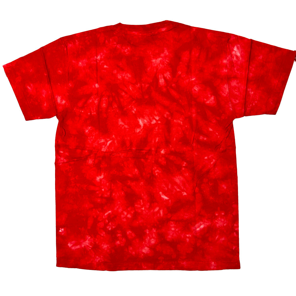 浜崎健 |アートTシャツ 「Grateful Red(タイダイ柄)」 現代アート 半袖Tシャツ|浜崎健立現代美術館